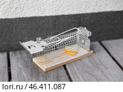 Metal mousetrap with cheese outdoors. Стоковое фото, фотограф Pixel_shot / Фотобанк Лори