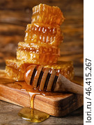 Board with dipper and honey combs on wooden background, closeup. Стоковое фото, фотограф Pixel_shot / Фотобанк Лори