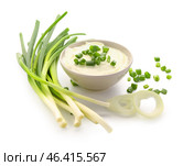 Bowl of tasty sour cream with sliced scallion and onion on white background. Стоковое фото, фотограф Pixel_shot / Фотобанк Лори