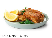 Plate of tasty fried codfish with lemon on white background. Стоковое фото, фотограф Pixel_shot / Фотобанк Лори