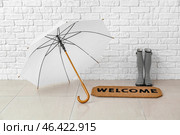 Stylish umbrella, gumboots and door mat in hallway. Стоковое фото, фотограф Pixel_shot / Фотобанк Лори