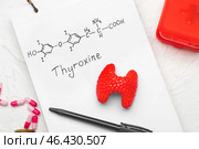 Notebook with chemical formula of thyroxine, model of thyroid gland and pills on white background. Стоковое фото, фотограф Pixel_shot / Фотобанк Лори
