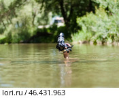 Рука с фотоаппаратом, тянущаяся вверх из воды (2010 год). Редакционное фото, фотограф Snezka / Фотобанк Лори