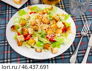 Caesar salad with tomatoes served in diner. Стоковое фото, фотограф Яков Филимонов / Фотобанк Лори