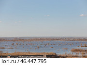 Разлив Оки в Рязани, вид на окский мост. Стоковое фото, фотограф Елена Сенчук / Фотобанк Лори