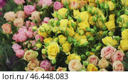 many exotic flowers arranged in a single line. Стоковое видео, видеограф Кутина Татьяна / Фотобанк Лори