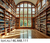 Стеллажи с книгами в библиотеке. Стоковое AI-изображение, AI-художник Руслан Лесков / Фотобанк Лори