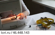 Women's hands sew on a sewing machine. Faceless. Fashion, creation and tailoring. Стоковое видео, видеограф Кутина Татьяна / Фотобанк Лори