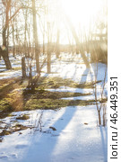 Melting snow sparkles in the sun on a spring day. Thawed patches on the ground with green grass. Стоковое фото, фотограф Коханова Наталья / Фотобанк Лори