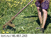 Neglecting protective clothing, farmer removes dandelions with gasoline-powered string weed trimmer, cut grass covering his legs. Стоковое фото, фотограф Владимир Григорьев / Фотобанк Лори