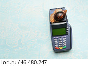 Платежный терминал и улитка на светлом фоне. Понятие медленной транзакции. Стоковое фото, фотограф Pixel_shot / Фотобанк Лори