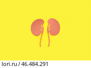 Бумажные почки на желтом фоне. Стоковое фото, фотограф Pixel_shot / Фотобанк Лори