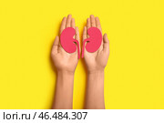 Женщина с бумажными почками на желтом фоне. Стоковое фото, фотограф Pixel_shot / Фотобанк Лори