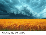 A stunning contrast between a golden wheat field and thunderclouds looming over the horizon. The wheat field sways in the wind, creating a sense of movement and warmth, while the massive clouds in blue-gray tones add drama to the scene. The sense of an impending storm is emphasized by the rich colors and strong perspective, creating an effect of natural power and a contrast between calm and storm. Стоковое AI-изображение, AI-художник Анна Кривицкая / Фотобанк Лори