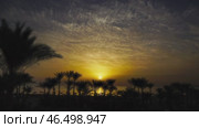 Palms on resort beach and sunrise over sea. Стоковое видео, видеограф Михаил Коханчиков / Фотобанк Лори