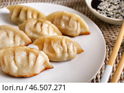 Тарелка с вкусной японской гёзы на плетеном подносе, крупным планом. Стоковое фото, фотограф Pixel_shot / Фотобанк Лори