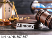 Молоток судьи и бумага с текстом ALIMONY на столе. Стоковое фото, фотограф Pixel_shot / Фотобанк Лори