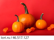 Свежие тыквы и физалис на цветном фоне. Стоковое фото, фотограф Pixel_shot / Фотобанк Лори