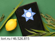 Четыре вида (лулав, хадас, арава, этрог) как символы праздника Суккот и Тора на зелёном фоне. Стоковое фото, фотограф Pixel_shot / Фотобанк Лори