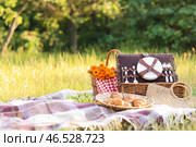 Пикниковая корзина с вкусной едой на пледе в парке. Стоковое фото, фотограф Pixel_shot / Фотобанк Лори
