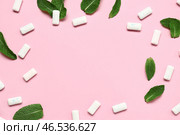 Рамка из свежей жевательной резинки с мятой на розовом фоне. Стоковое фото, фотограф Pixel_shot / Фотобанк Лори