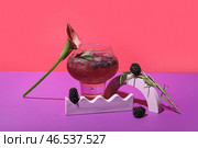Бокал вкусного коктейля из ежевики с лилией на цветном фоне. Стоковое фото, фотограф Pixel_shot / Фотобанк Лори