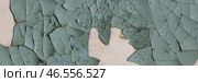 Peeling paint on the wall. Panorama of a concrete wall with old cracked flaking paint. Weathered rough painted surface with patterns of cracks and peeling. Wide panoramic grungy texture for background. Стоковое фото, фотограф Андрей Степанов / Фотобанк Лори