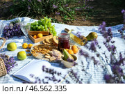 Вкусная еда и напитки для романтического пикника на лавандовом поле. Стоковое фото, фотограф Pixel_shot / Фотобанк Лори