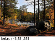 Река в лесу осенью. Стоковое фото, фотограф Лев Федосеев / ТАСС / Фотобанк Лори