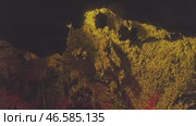 Bats hanging in cave. Стоковое видео, видеограф Михаил Коханчиков / Фотобанк Лори