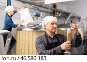 Brewer checks amount of alcohol in beer using an alcoholmeter. Стоковое фото, фотограф Яков Филимонов / Фотобанк Лори