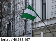 Государственный флаг Федеративной Республики Нигерия. Стоковое фото, фотограф Сергей Карпухин / ТАСС / Фотобанк Лори
