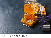 Товары для пчеловодства и мед на темном фоне. Стоковое фото, фотограф Pixel_shot / Фотобанк Лори