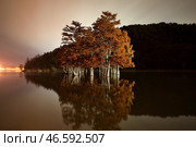 Краснодарский край. Кипарисы на озере Сукко. Стоковое фото, фотограф Марина Лысцева / ТАСС / Фотобанк Лори