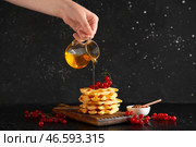 Женщина льёт мёд на бельгийские вафли с красной смородиной на доске на столе на фоне чёрного фона. Стоковое фото, фотограф Pixel_shot / Фотобанк Лори