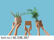 Женщина с коробкой для переезда и обернутыми растениями на синем фоне. Стоковое фото, фотограф Pixel_shot / Фотобанк Лори