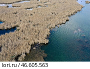 Республика Дагестан. Погибшие птицы в Аграханском заливе. Стоковое фото, фотограф Муса Салгереев / ТАСС / Фотобанк Лори