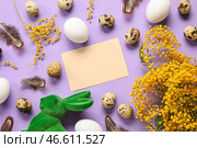 Красивая пасхальная композиция с пустой карточкой, ветками мимозы, яйцами и перьями на цветном фоне. Стоковое фото, фотограф Pixel_shot / Фотобанк Лори