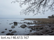 Serene lakeshore view with scattered stones, overhanging branches. Стоковое фото, фотограф EugeneSergeev / Фотобанк Лори