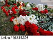 Цветы у мемориала (2022 год). Стоковое фото, фотограф Евгений Силантьев / ТАСС / Фотобанк Лори