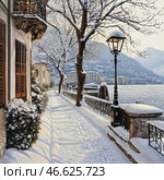 The atmosphere of a winter morning in a picturesque European town located on the shore of a lake. Snow covers the ground, tree branches and roofs of houses, creating a feeling of coziness and silence. On the left are buildings with wooden shutters and balconies decorated with wrought iron railings. On the right is a snow-covered promenade along the water, fenced with elegant metal railings, as well as a lamppost covered in snow. In the distance, houses can be seen, buried in snow-covered hills, reflected in the water surface of the lake.The overall style of the image resembles a classical painting or a watercolor illustration, filled with soft shades of light and a romantic winter mood. Стоковое AI-изображение, AI-художник Анна Кривицкая / Фотобанк Лори