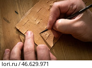 Каллиграфия на бересте Станислав Красильников. Стоковое фото, фотограф Красильников Ста. / ТАСС / Фотобанк Лори