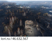 Дачные домики и участки, выгоревшие во время природного пожара. Стоковое фото, фотограф Кирилл Кухмарь / ТАСС / Фотобанк Лори