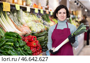 Woman presents fresh celery, best option of vegetables from local and imported producers. Стоковое фото, фотограф Яков Филимонов / Фотобанк Лори