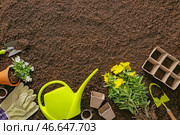 Принадлежности для садоводства с растениями на почвенном фоне. Стоковое фото, фотограф Pixel_shot / Фотобанк Лори
