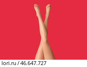 Красивая молодая женщина в колготках на цветном фоне. Стоковое фото, фотограф Pixel_shot / Фотобанк Лори