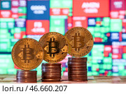 Москва. Физические монеты криптовалюты биткойн. Стоковое фото, фотограф Сергей Булкин/NEWS.ru / ТАСС / Фотобанк Лори
