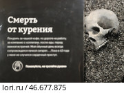 Череп и табличка с надписью "Смерть от курения". Сергей Булкин/NEWS.ru. Стоковое фото, фотограф Булкин Сергей / ТАСС / Фотобанк Лори