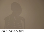 Очертания человеческого скелета. Сергей Булкин/NEWS.ru. Стоковое фото, фотограф Булкин Сергей / ТАСС / Фотобанк Лори