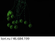 Стробоскопическая фотография движущегося зеленого шара на темном фоне. Стоковое фото, фотограф Pixel_shot / Фотобанк Лори